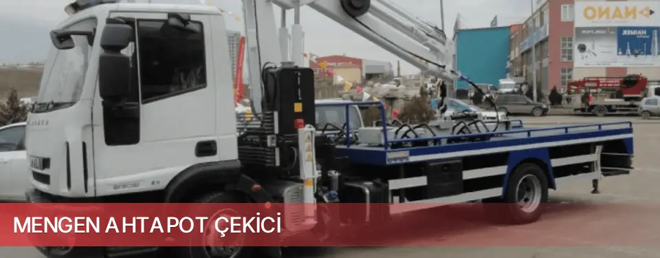 Mengen İlçemi Ahtapot Çekici