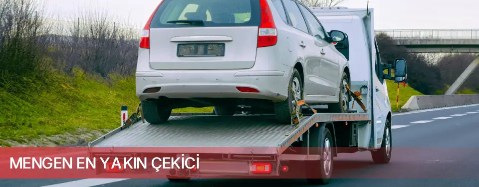 Mengen İlçemi En Yakın Çekici