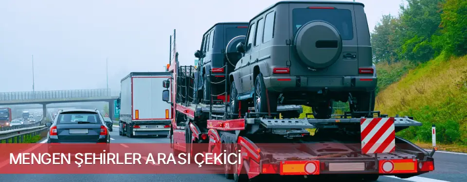 Mengen İlçemi Şehirler Arası Çekici